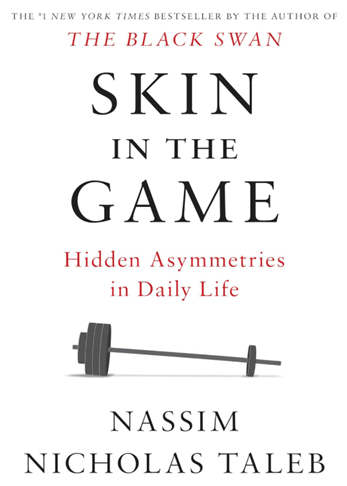 Skin in the game book