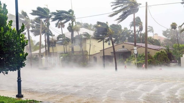 Tropical Storms